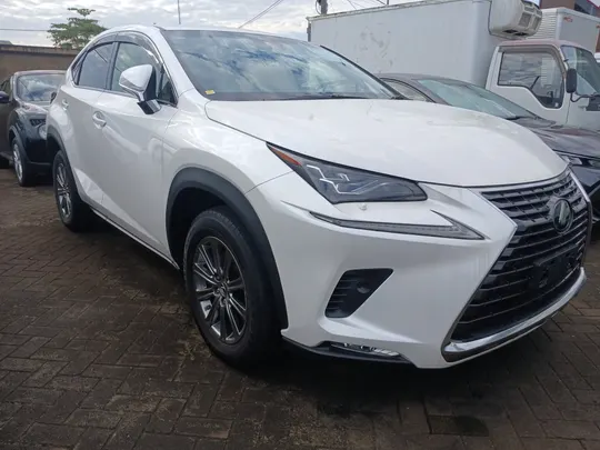 Lexus NX 300 2019