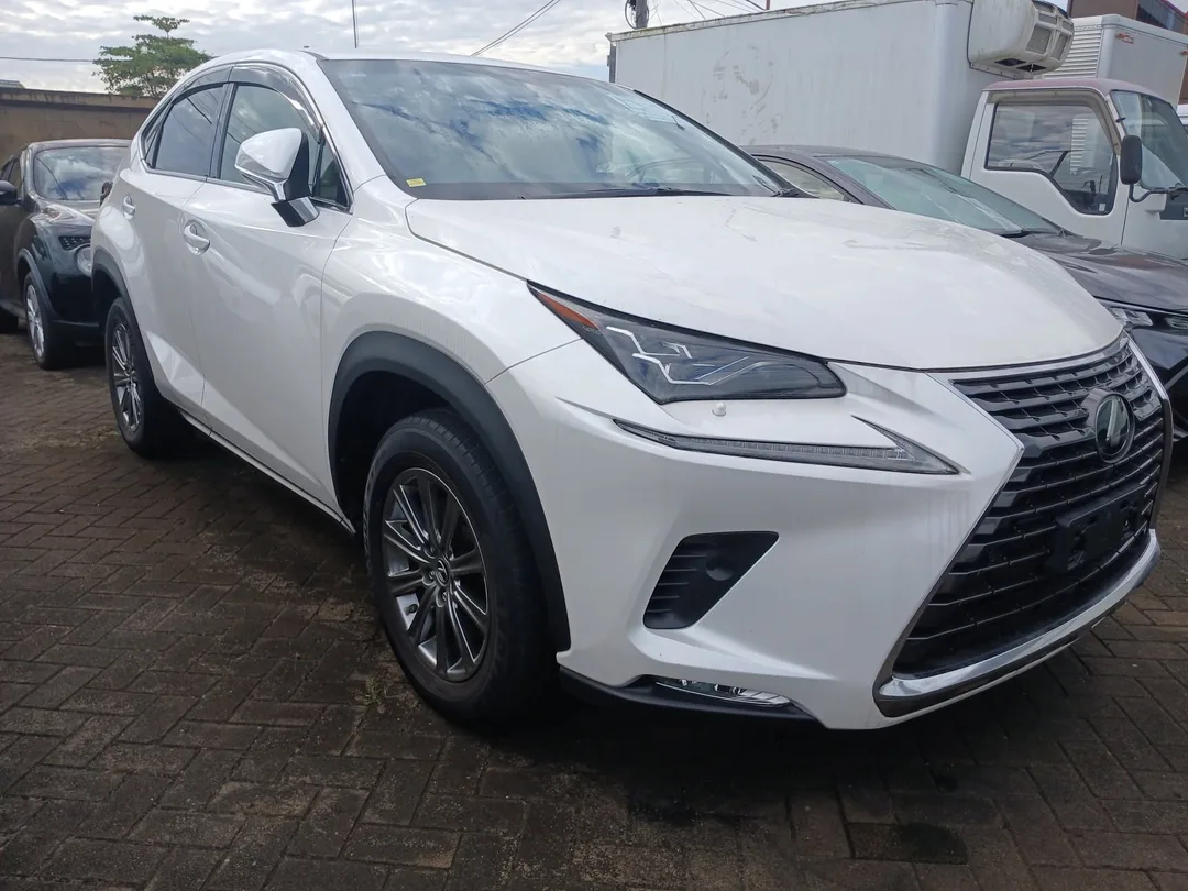 Lexus NX 300 2019