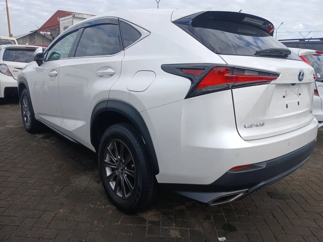 Lexus NX 300 2019 — foto 2