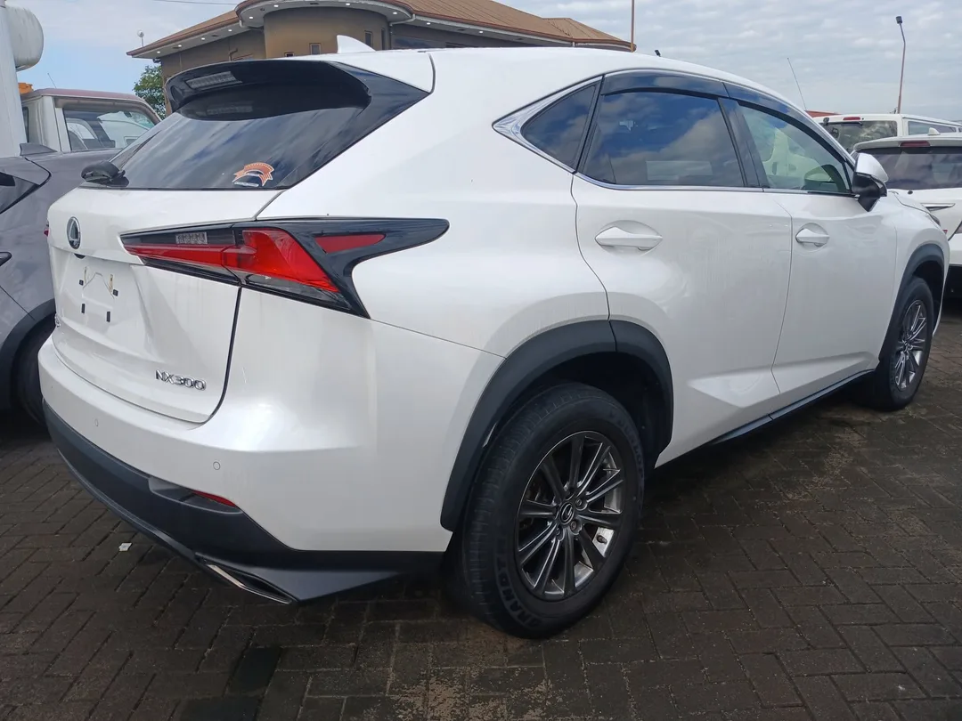 Lexus NX 300 2019 — foto 3
